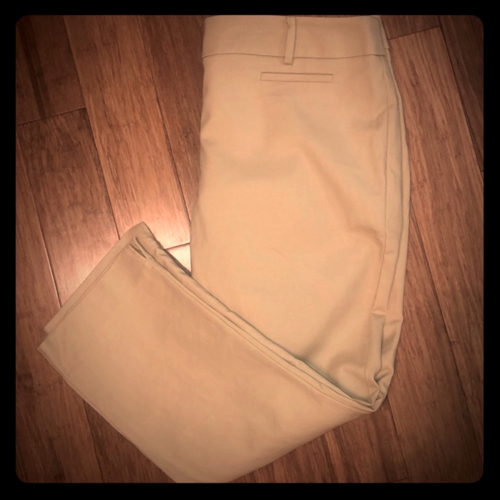 Ann Taylor Loft The Riviera Pant Julie Sz 14